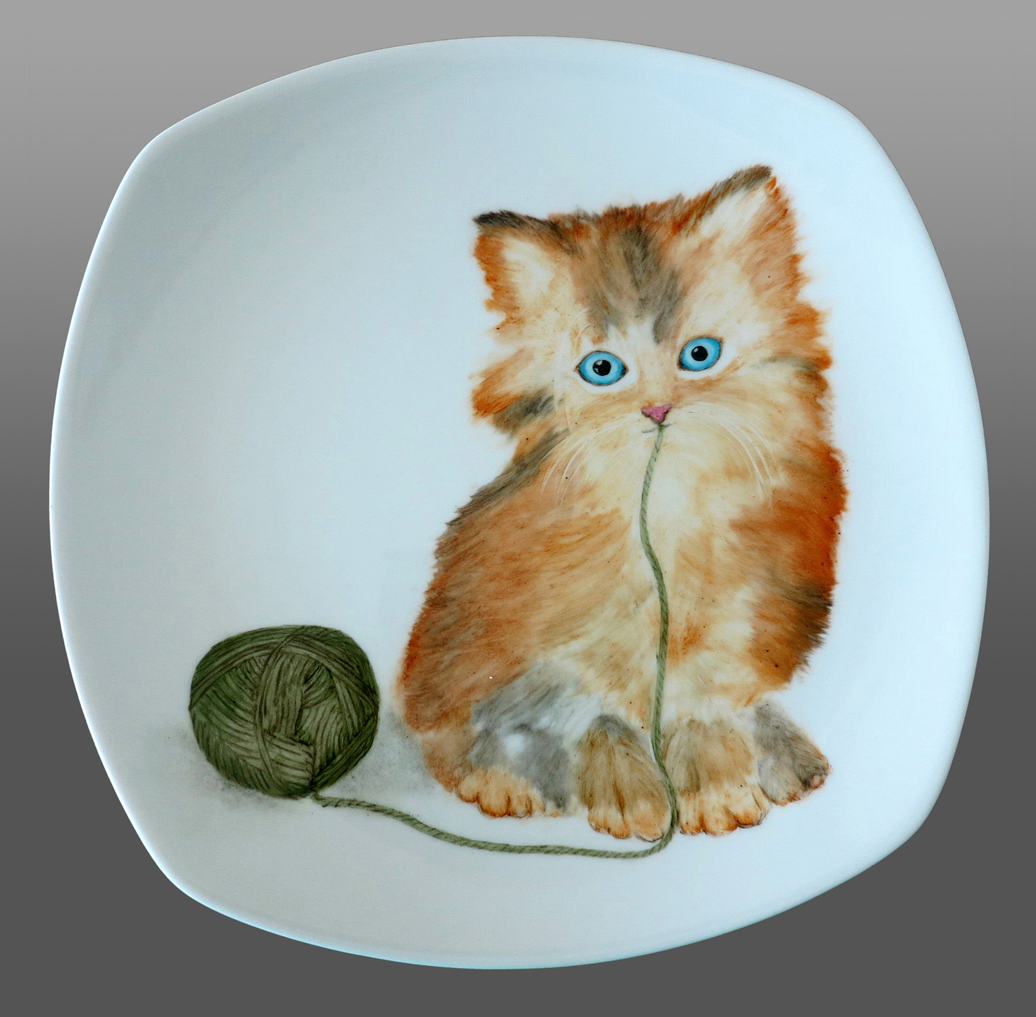 Cat with Wool