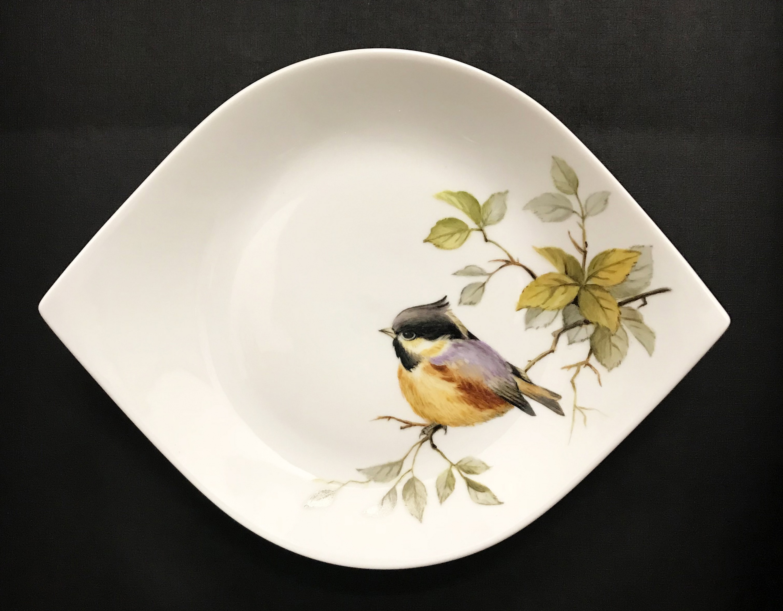Birds
