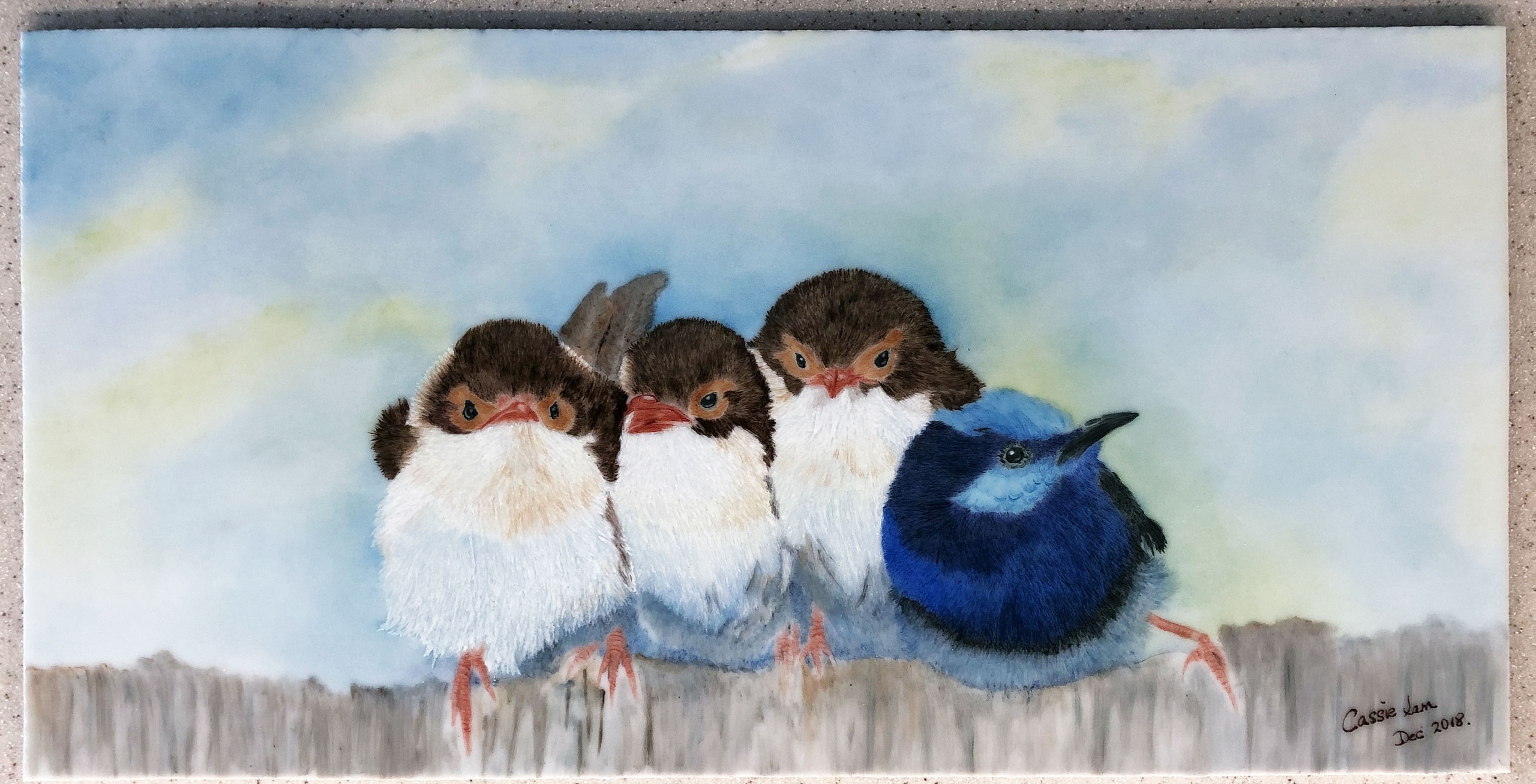Birds