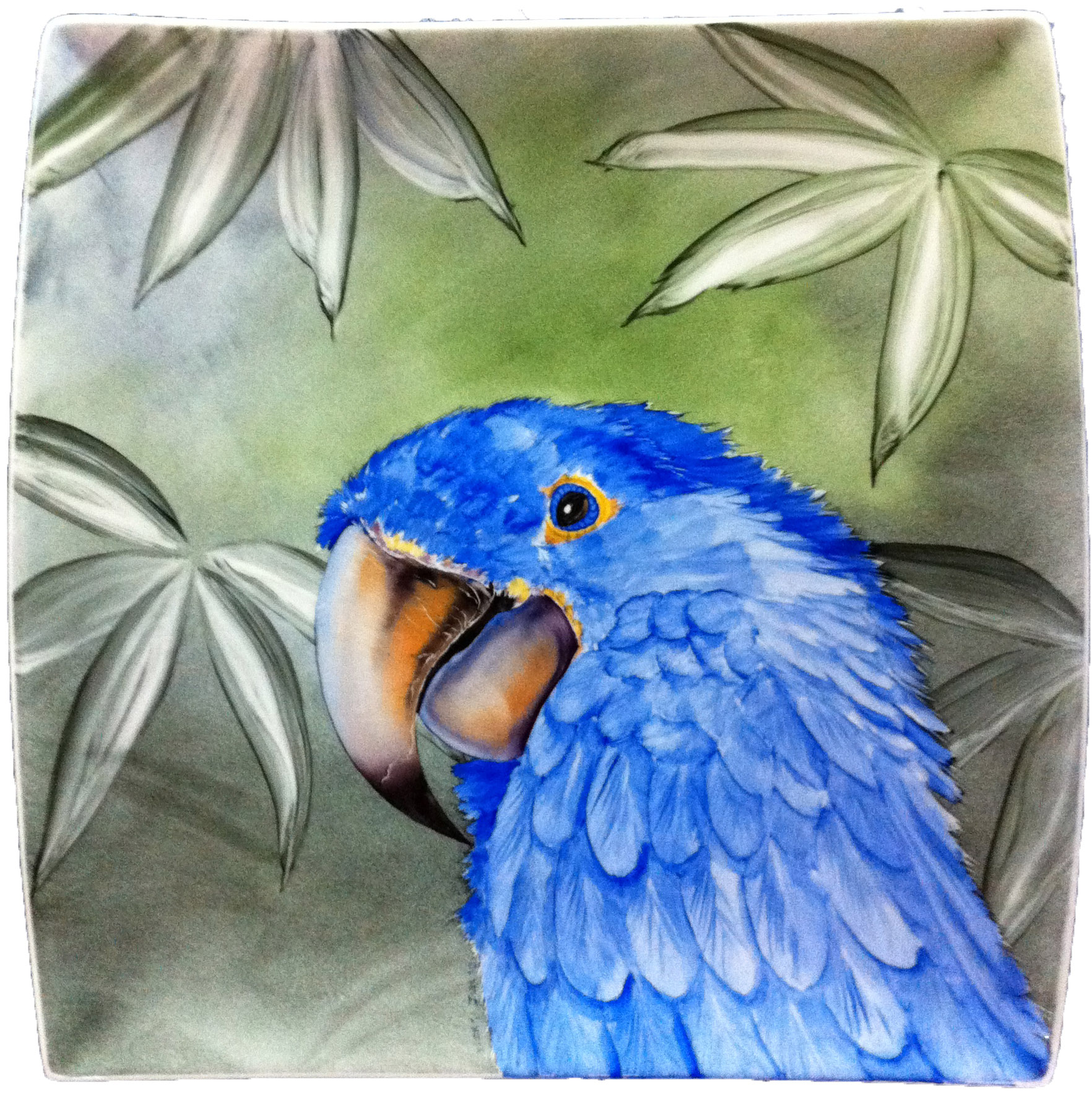 Birds