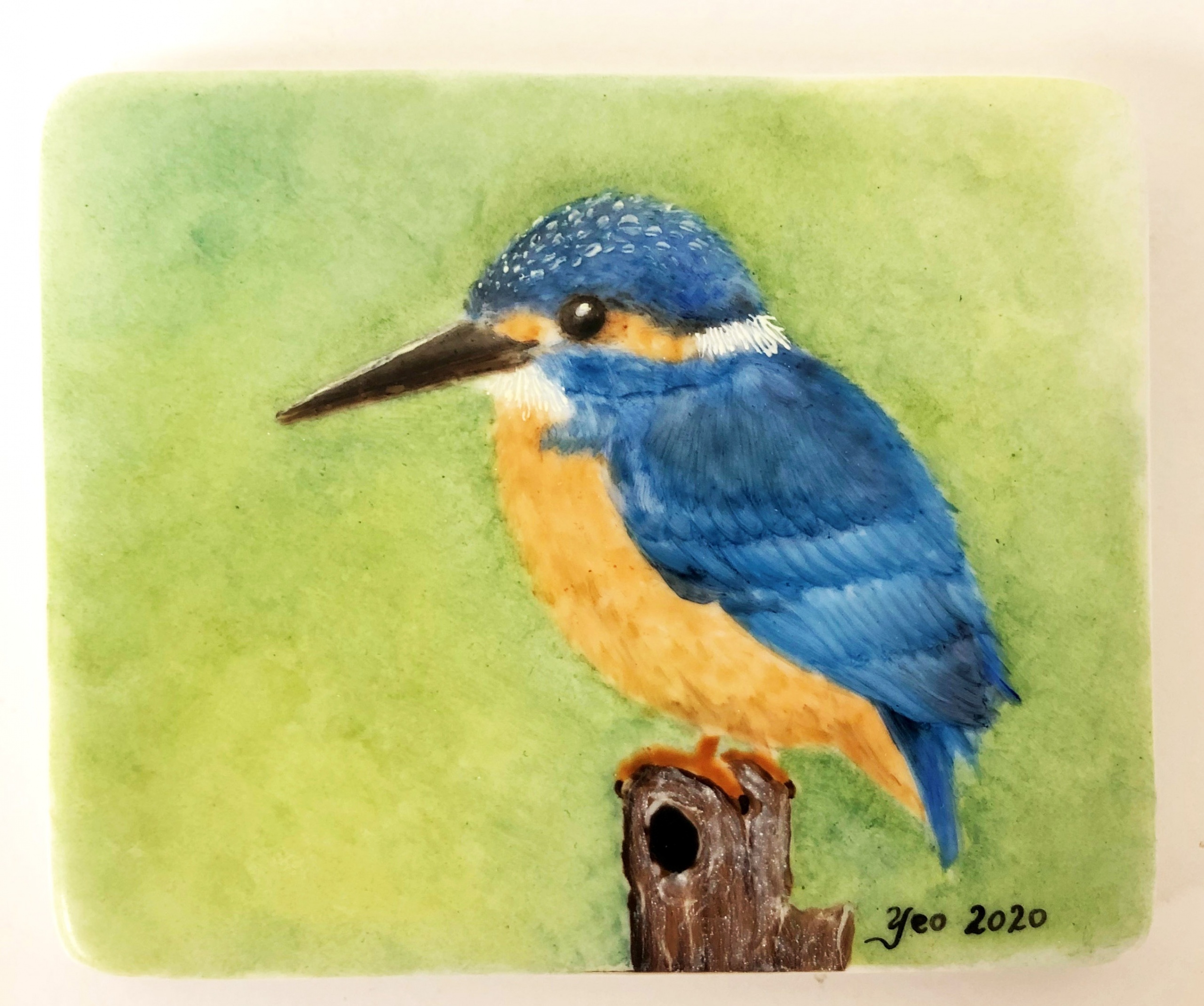 Birds