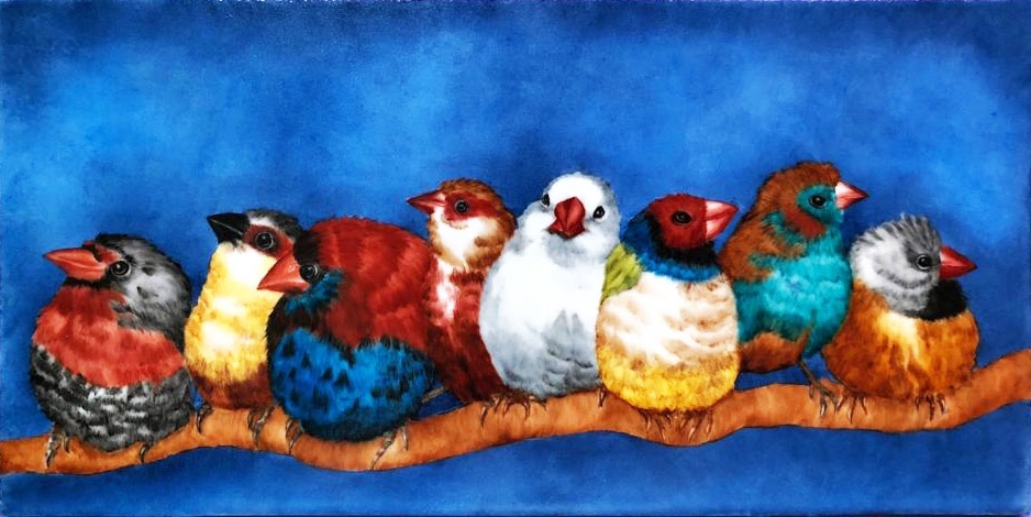 Birds
