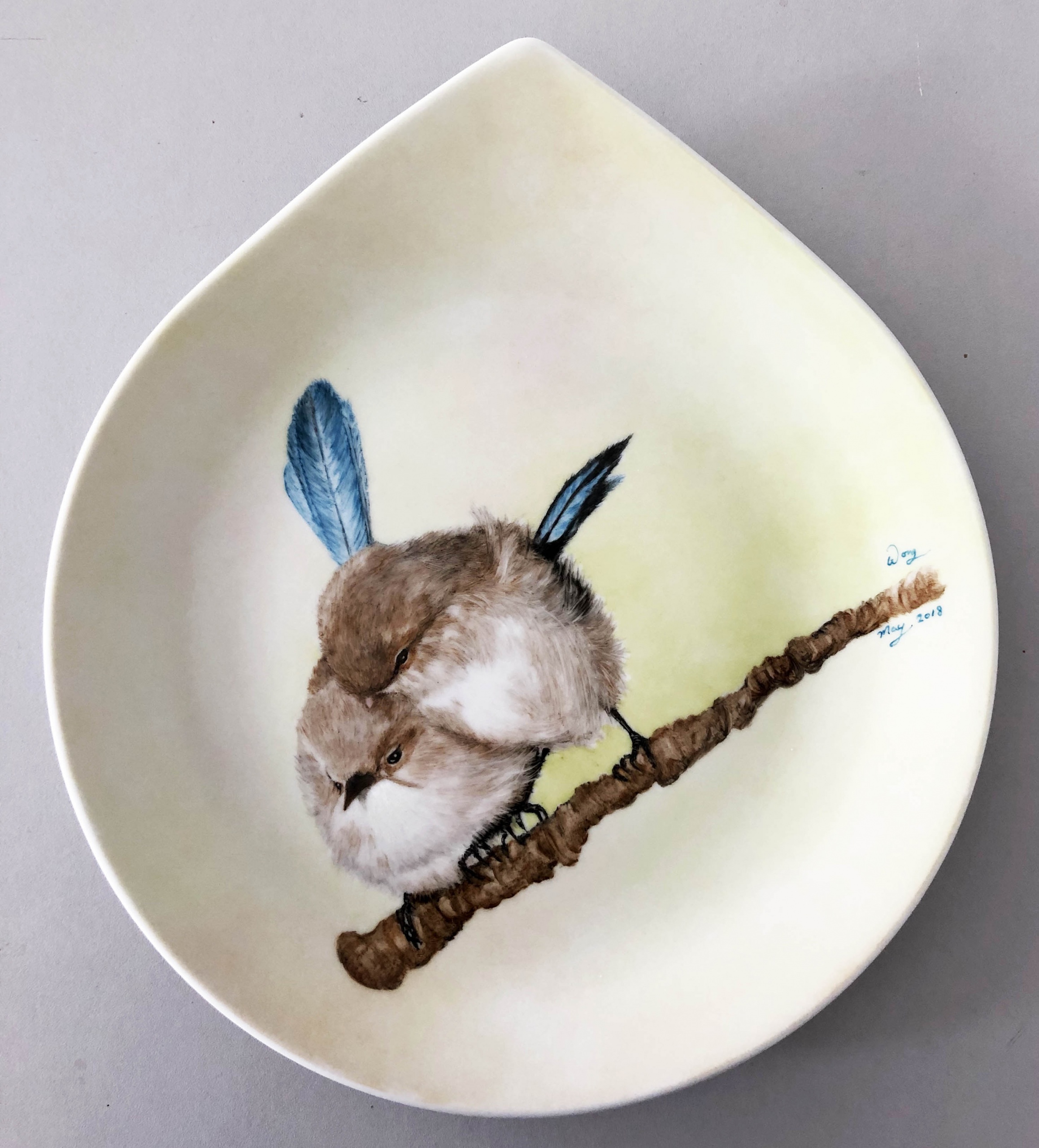 Birds