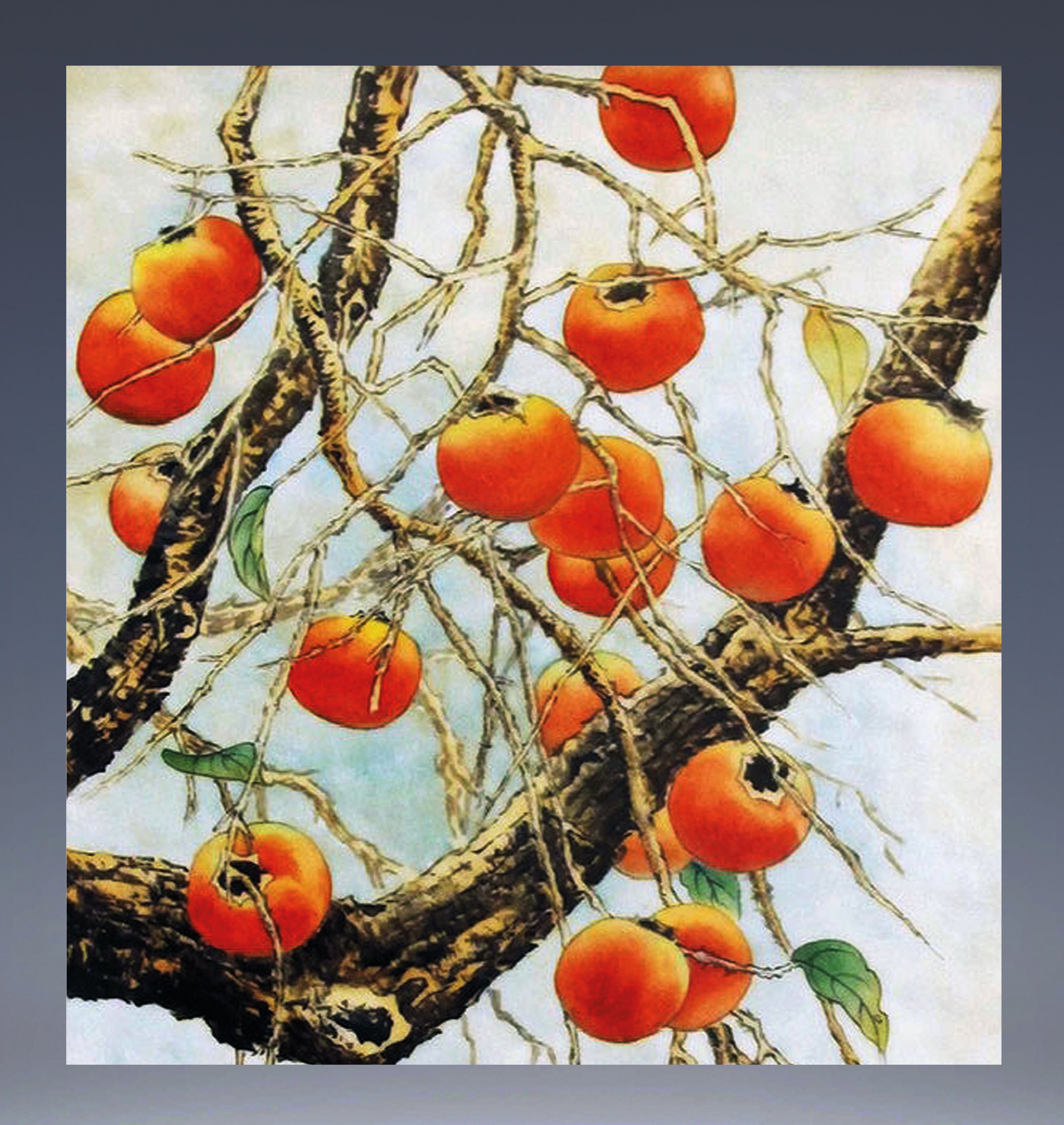 Tangerines